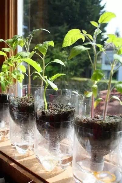 自制便攜收納盒,你家閑置的飲料瓶還能做這些？！