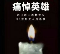 陽光甚好，是有人為我們擋住了黑暗...