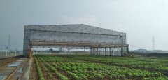 3.12植樹節，人人參與—靖起起重機生產廠家